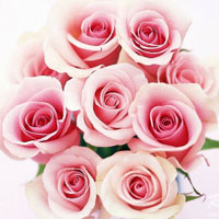 Gia đình thân yêu