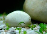 CUỘC SỐNG LÀ NHỮNG VA ĐẬP...