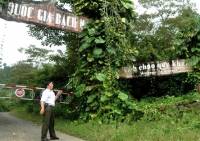 Học tiếng chim để bảo vệ rừng