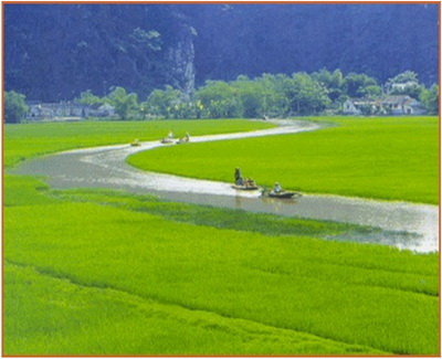 Quan điểm bảo tồn những thảm cỏ, đồng trũng tự nhiên.